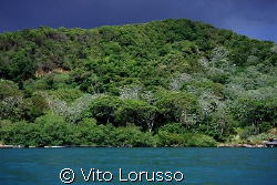 Hounduras - Roatan by Vito Lorusso 